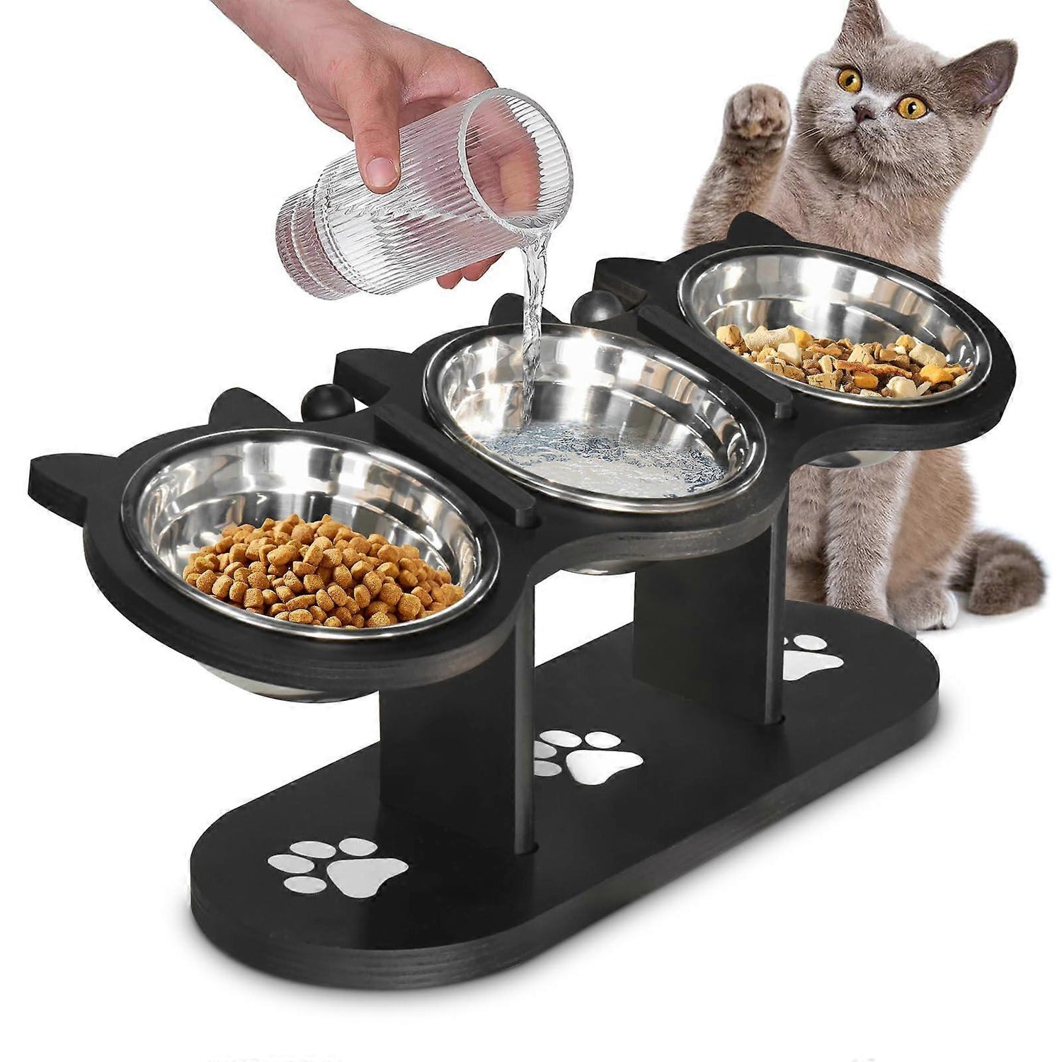 Cat Bowls/Feeding