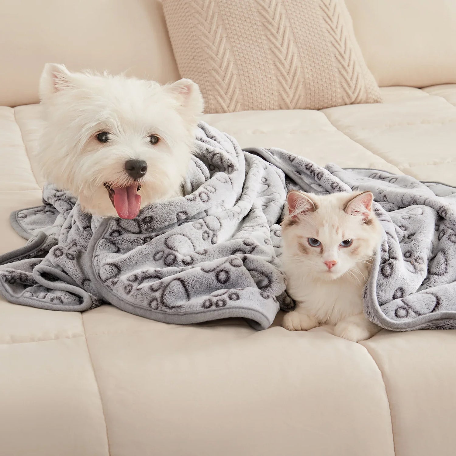 Cat/Dog Blankets