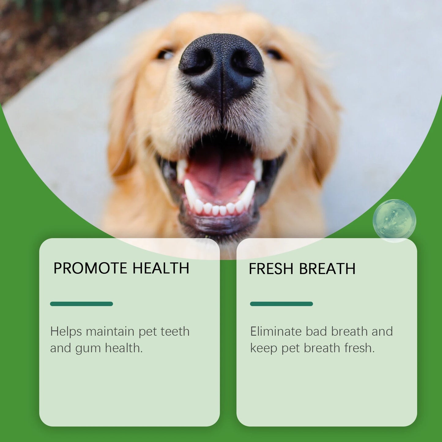 Yegbong 150g Dog Teeth Cleaning Powder - Gentle Dental Care for Pets - Removes Tartar, Stains & Bad Breath - Whitens Teeth
