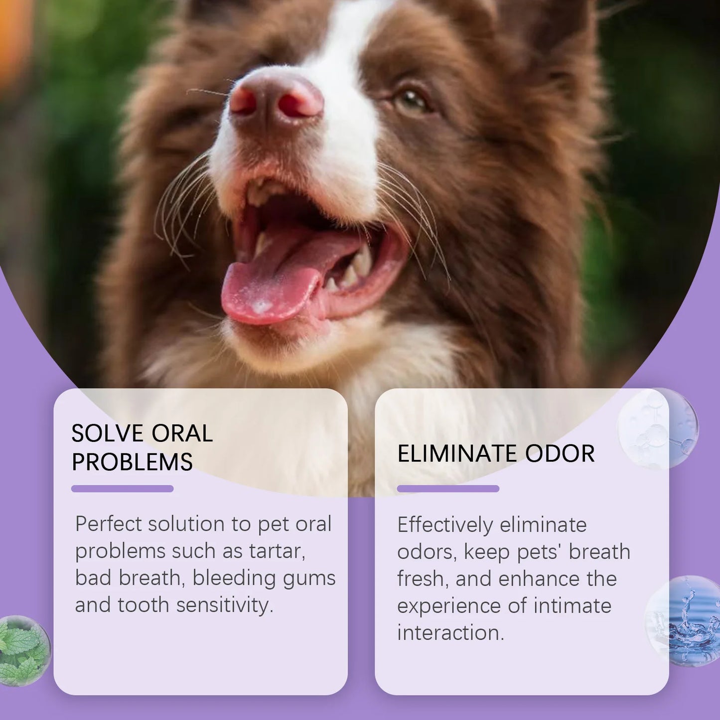 50ml Pet Oral Cleanse Spray Dogs Cats Teeth Clean Deodorant Breath Calculus Kitten Bad Remove Prevent Pet Supplies