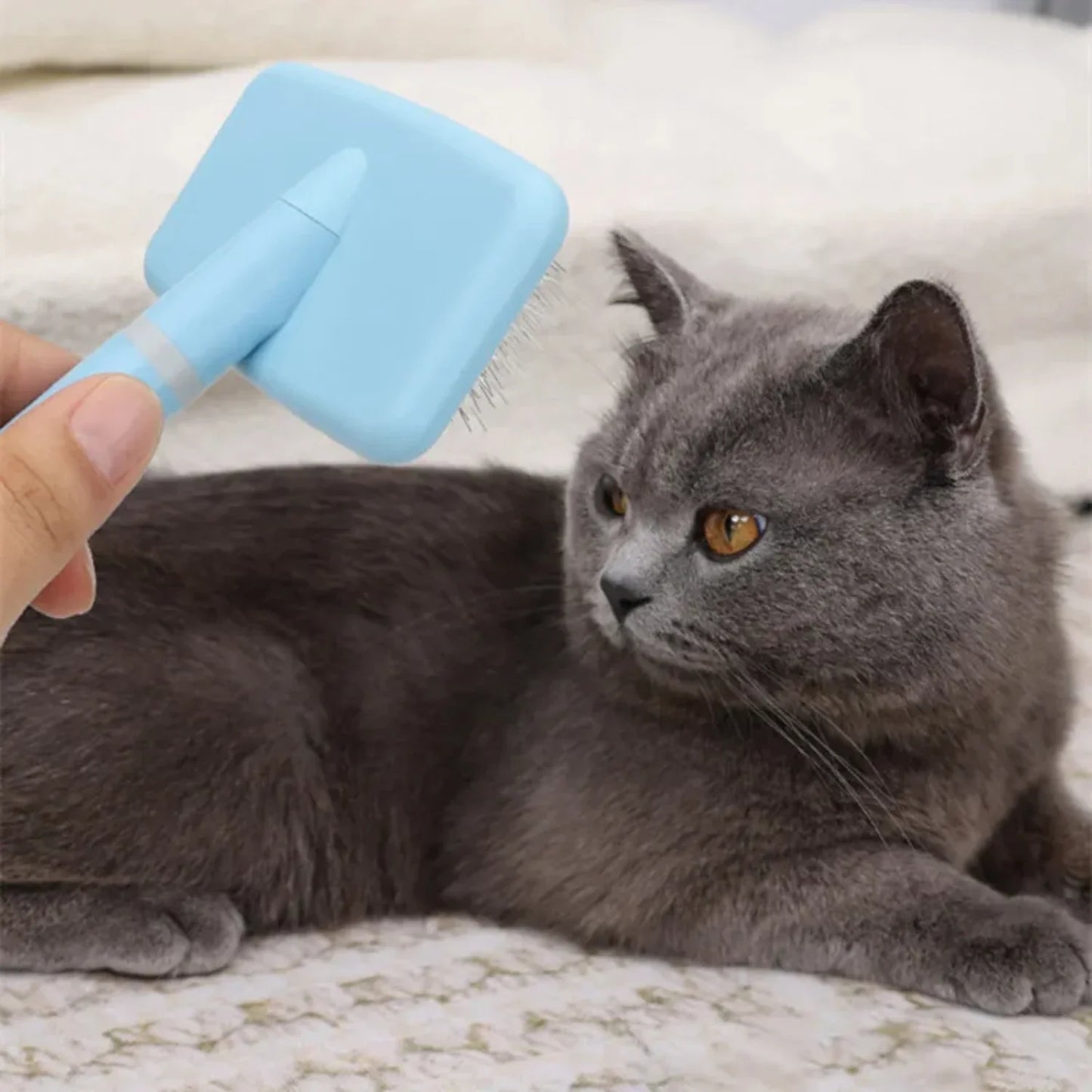 2PCS  Dog Brush Pet Hair Remover Massage Dog Combs Pet Grooming Stainless Steel Brush  Dogs Knot Opening Cat Comb Dogs Accessori