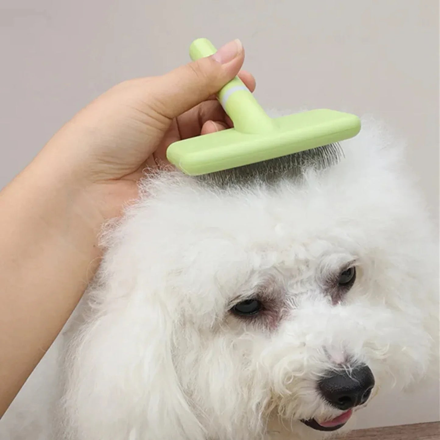 2PCS  Dog Brush Pet Hair Remover Massage Dog Combs Pet Grooming Stainless Steel Brush  Dogs Knot Opening Cat Comb Dogs Accessori